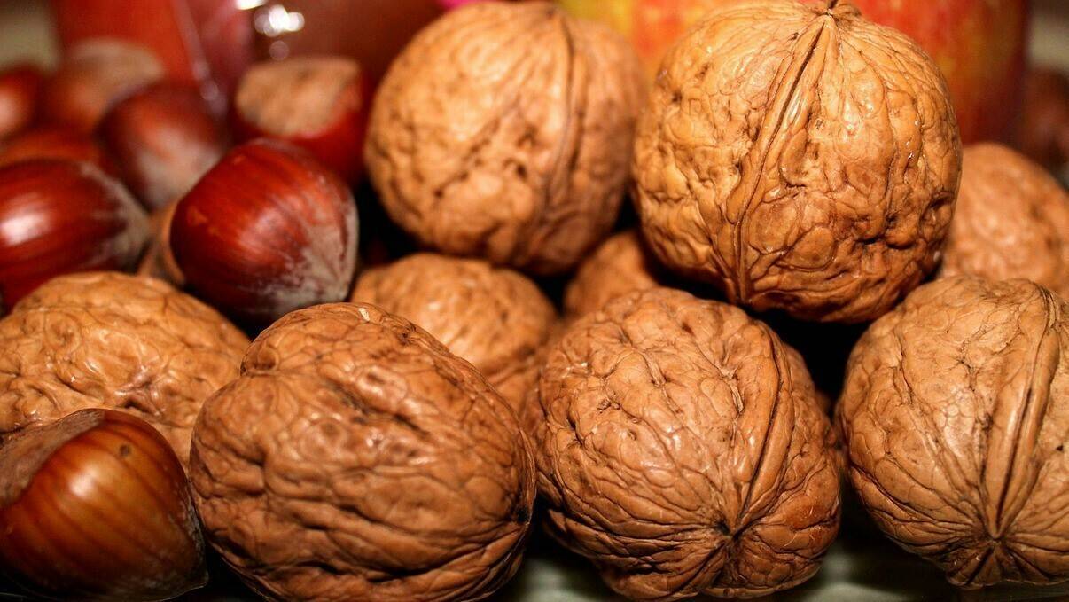 frutos-secos|Frutos-secos-2|Frutos-secos-borrell|Frutos-secos-Copersa|Frutos-secos-IQV|Caliplant-viveros-492x679|frutos-secos-almendro-cuadrat|frutos-secos-avellana|frutos-secos-nogal-nueces|frutos-secos-almendros-Caspe|frutos-secos-almendro-2